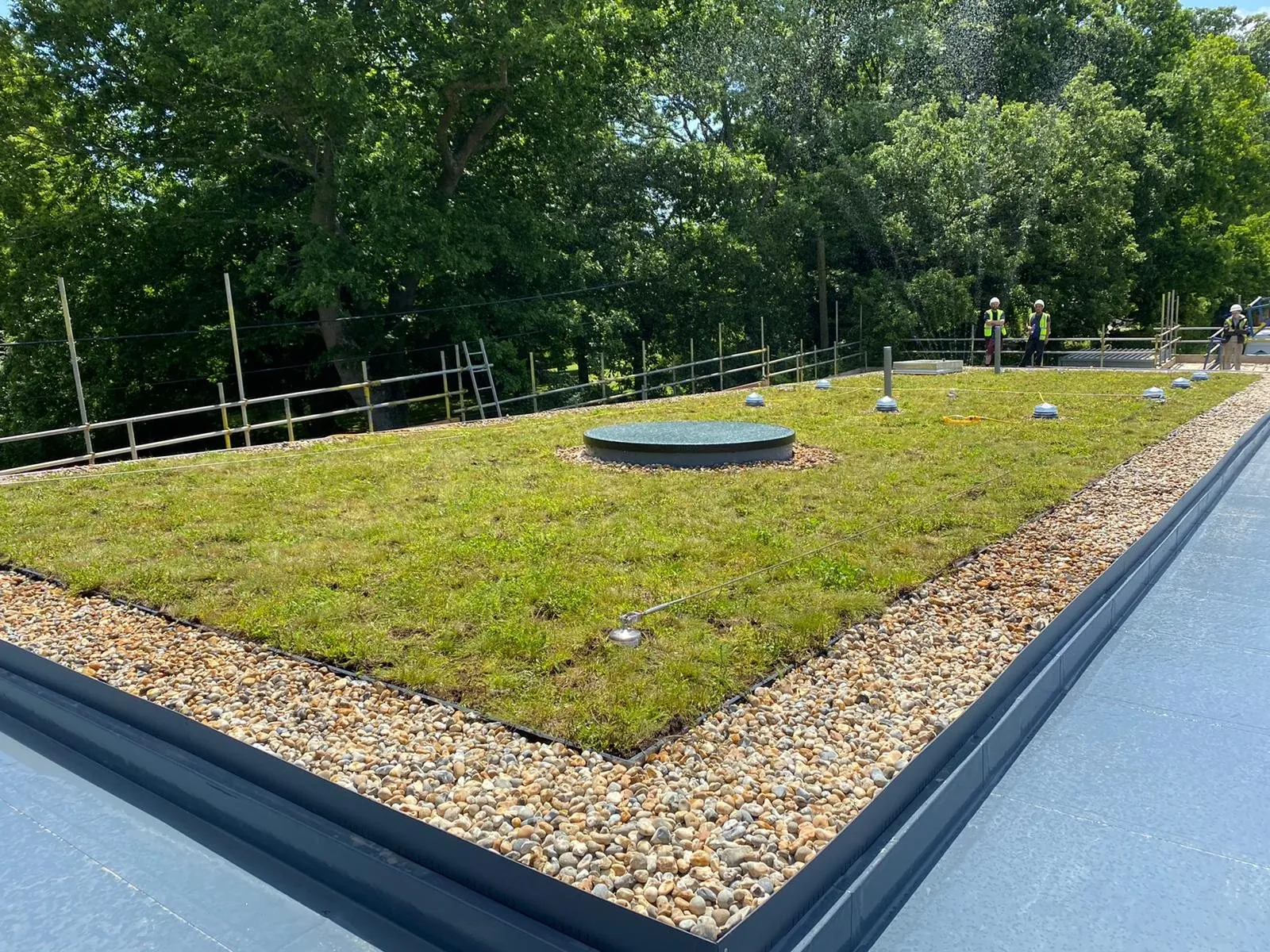 Commercial green roof with circular rooflight and pebble margins